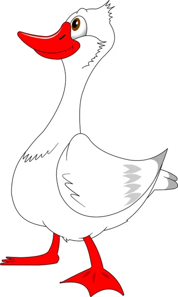 White domestic goose — Stock Vector