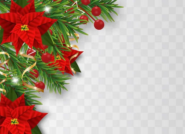 Рождественские Пограничные Украшения Еловыми Ветвями Рождественские Цветы Пуансеттия Ягоды Падуба — стоковый вектор