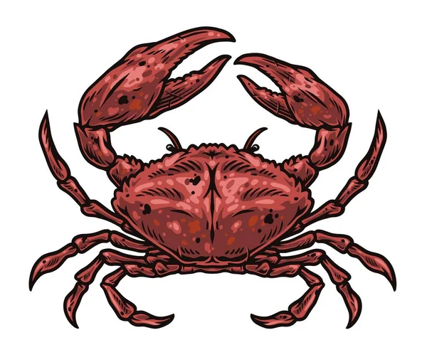 Colorful Vintage Crab Isolated White Background Vector Illustration — Vetor de Stock