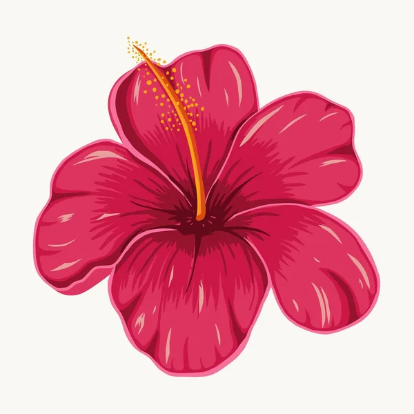 Flor Colorida Desenho Tropical Mão Isolado Vetor Ilustração Vetores De Stock Royalty-Free