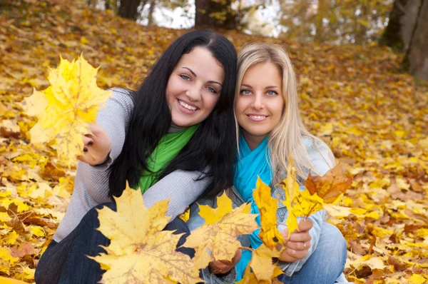 Two happy young women in autumn forest Stock Photo