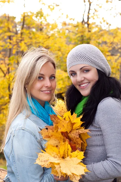 Two happy young women in autumn forest Royalty Free Stock Images