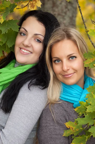 Two happy young women in autumn forest Stock Image