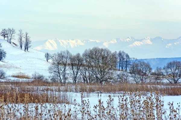 Kış manzarası — Stok fotoğraf