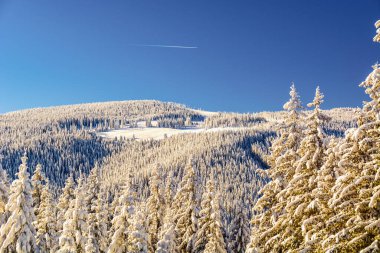 Romanya 'da kış manzarası, Paltinis kayak merkezi, Sibiu ilçesi, Karpatlar