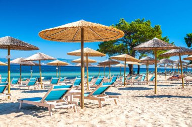Beach (Pachis) in Thasos island, Greece  clipart