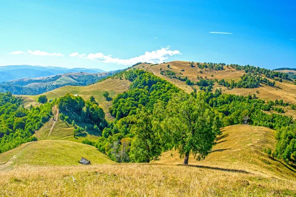 Romanya Karpatlar Dağlarındaki Manzara Sibiu Bölgesi Transilvanya — Stok fotoğraf