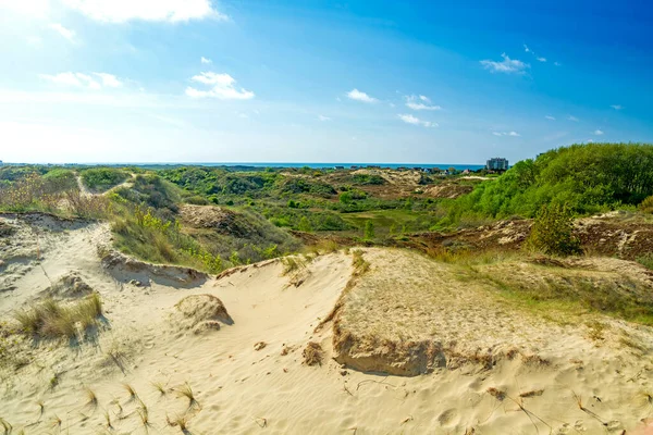 Paesaggio Delle Dune Panne Mare Del Nord Belgio Nella Giornata — Foto Stock