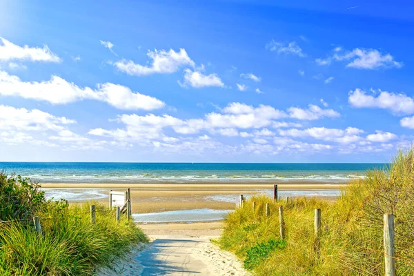 Dune Landscape Beach Panne North Sea Belgium Summer Day — Stock Photo, Image