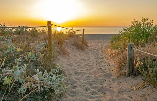 Sunrise in Pals, sandy beach and wild dune in Pals, Catalonia, Spain