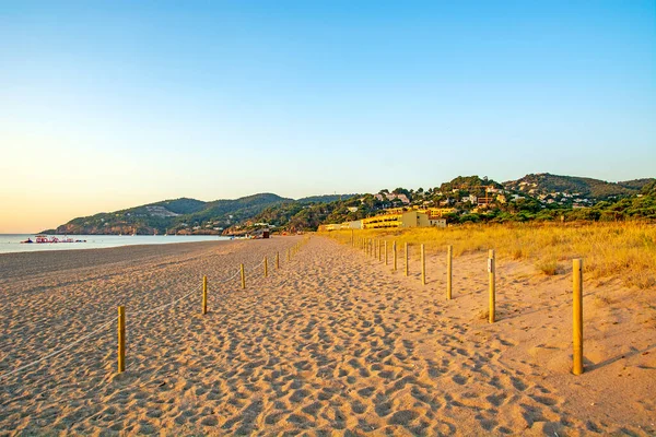 Sunrise Pals Sandy Beach Wild Dune Pals Catalonia Spain — Stockfoto