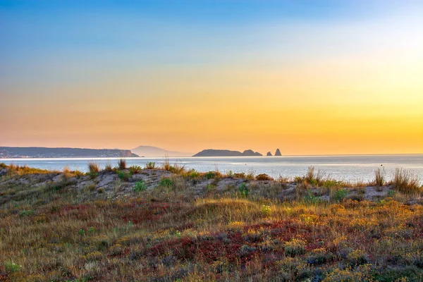 Sunrise in Pals, sandy beach and wild dune beachgrass vegetation in Pals, Catalonia, Spain