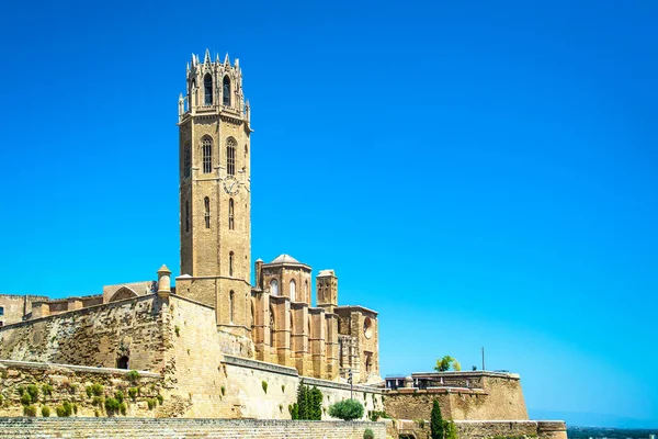 Stara Katedra Seu Vella Lleida Katalonia Hiszpania — Zdjęcie stockowe
