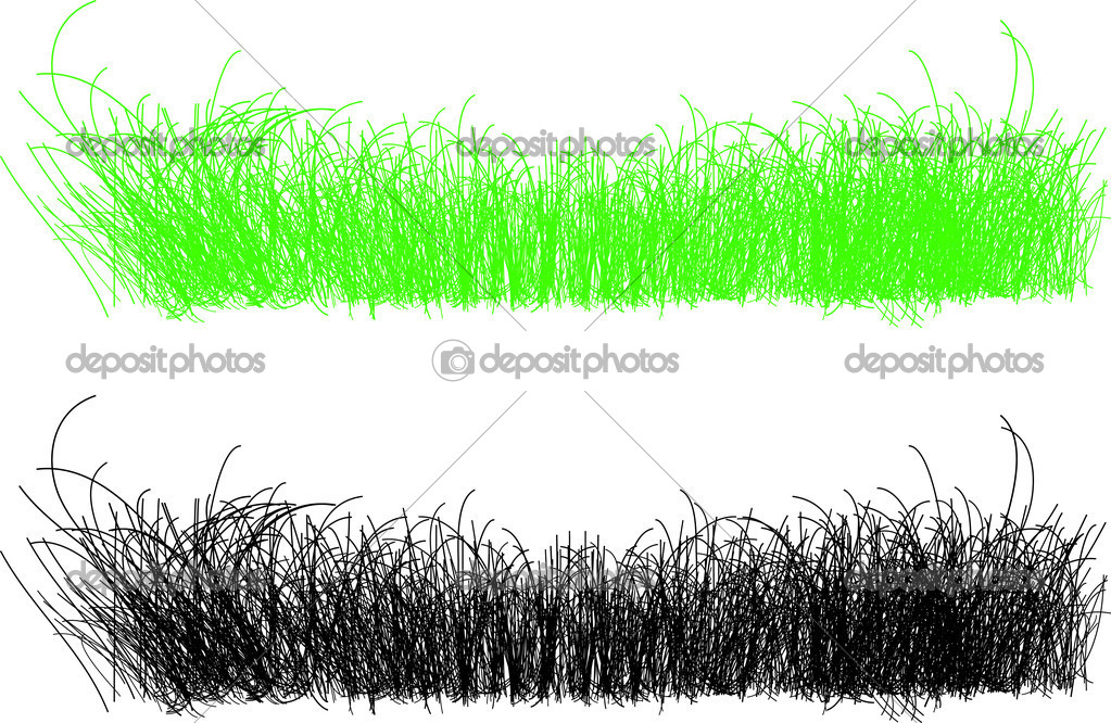 detailed illustration of thin strands of grass in green and blac