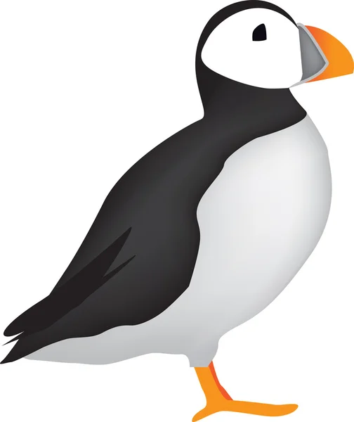 Lunnefågel illustration på vit bakgrund — Stockfoto
