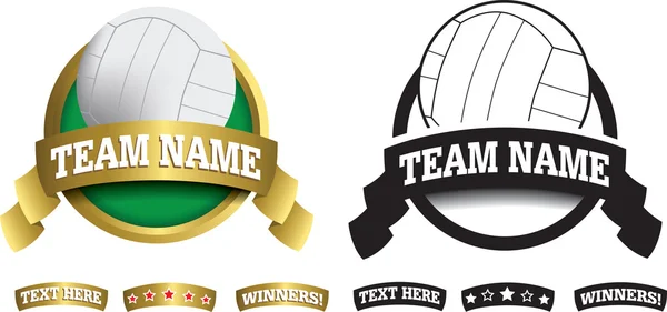 Badge, symbool of pictogram op wit voor volleybal — Stockfoto