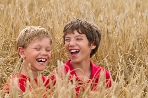 Enfants dans un champ de blé — Photo