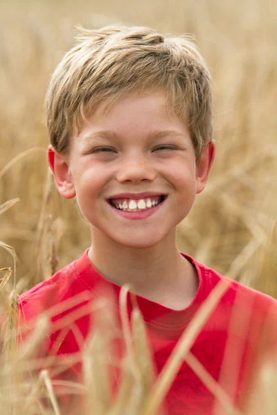 Crianças em um campo de trigo — Fotografia de Stock