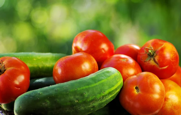 Tomates rojos y pimienta — Foto de Stock