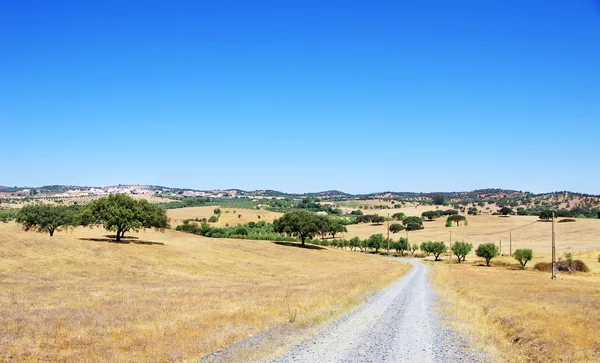 Paisagem rural da aldeia alentejana, Portugal — Fotografia de Stock