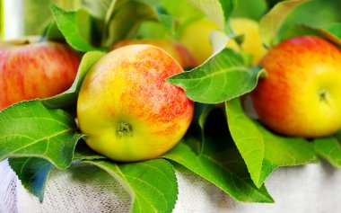 Masada olgun kırmızı elmalar