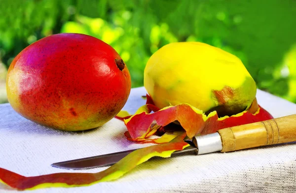 Två mango frukt och kniv. — Stockfoto