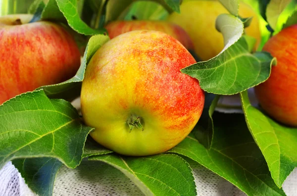 Moget rött äpple på bord och gröna blad — Stockfoto