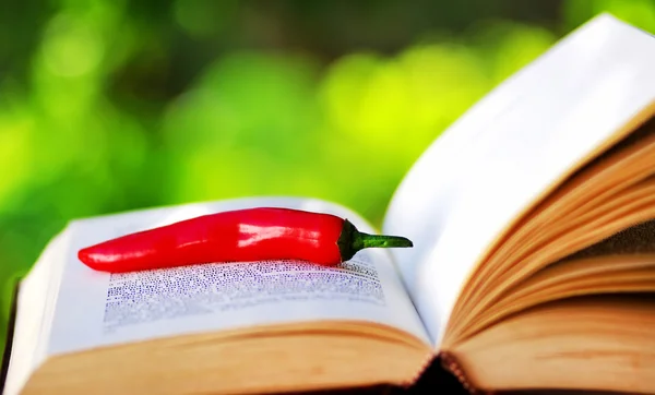 Red chili on open book — Stock Photo, Image