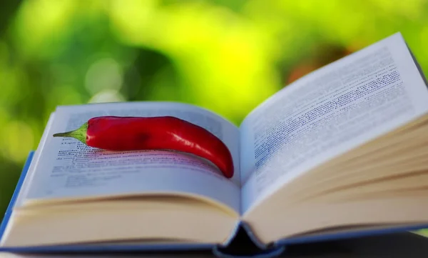 Rote Chilischote auf aufgeschlagenem Buch — Stockfoto