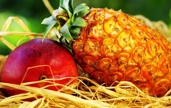 Ακατέργαστα τροπικά φρούτα, ανανάς και μάνγκο — Φωτογραφία Αρχείου