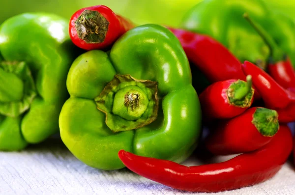 Chili and pepper — Stock Photo, Image