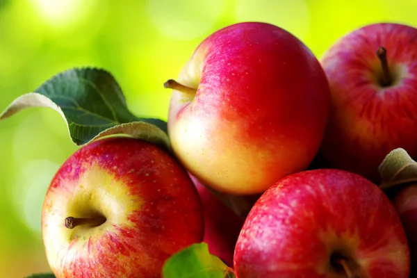 Dojrzałe czerwone jabłka na stole — Zdjęcie stockowe