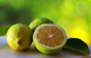 yeşil zemin üzerine yeşil limon