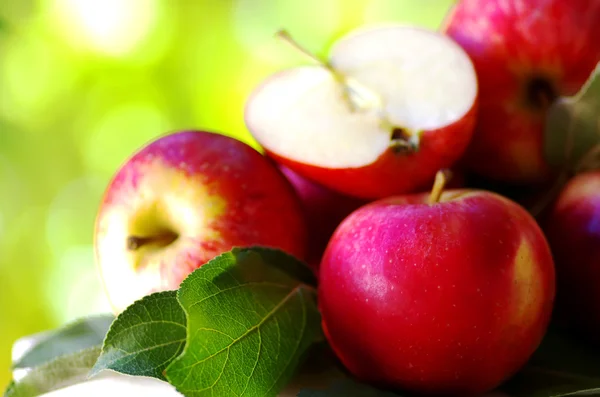 Manzanas rojas maduras en la mesa —  Fotos de Stock