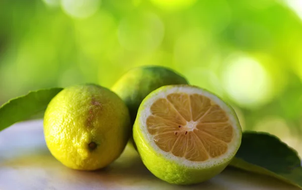 Limones verdes sobre fondo verde —  Fotos de Stock