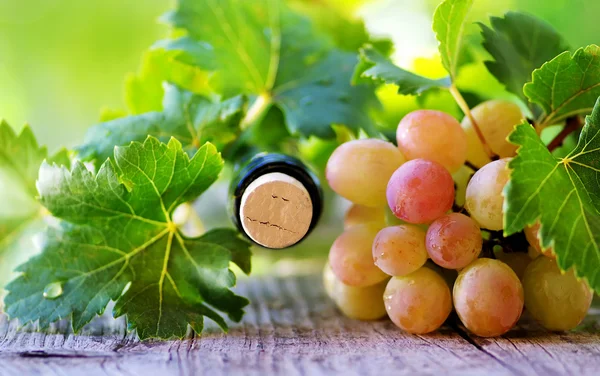 Botella de corcho vino y uvas —  Fotos de Stock