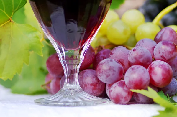 Glass of red wine with grapes on a table Stock Image