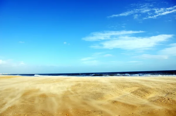 Wind op zand in strand van de algarve, portugal — Stockfoto