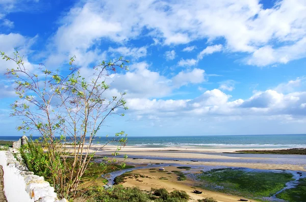 Landscape of Ria Formosa, Algarve — Stock Photo, Image