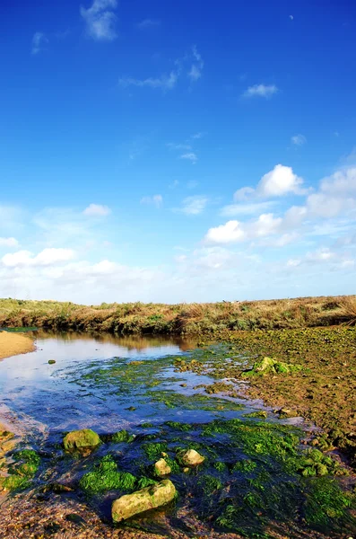 Small river and cloudy sky — Stock Photo, Image