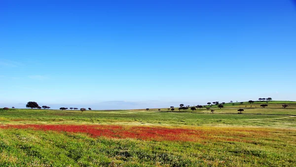 Пейзаж Португалии — стоковое фото