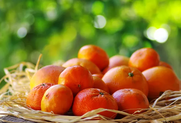 Citrusvruchten op tafel — Stockfoto