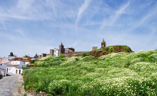 Paesaggio del castello di Mourao, a sud del Portogallo — Foto Stock