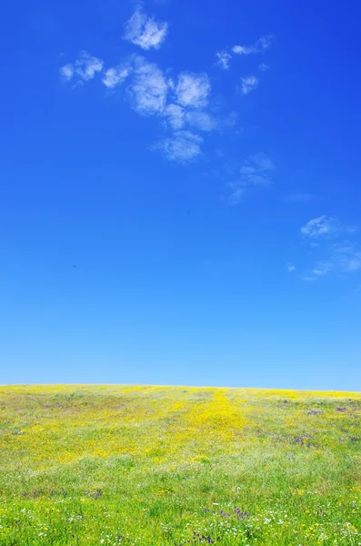 Området alentejo på våren — Stockfoto