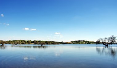 Lake of Alqueva, Guadiana river, Portugal clipart