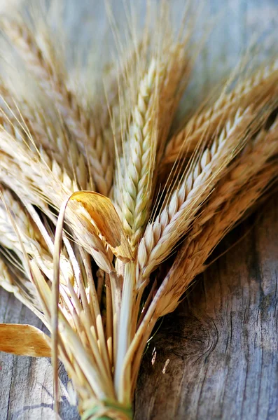 Spikes of Wheat on the Wood Background — Stock Photo, Image