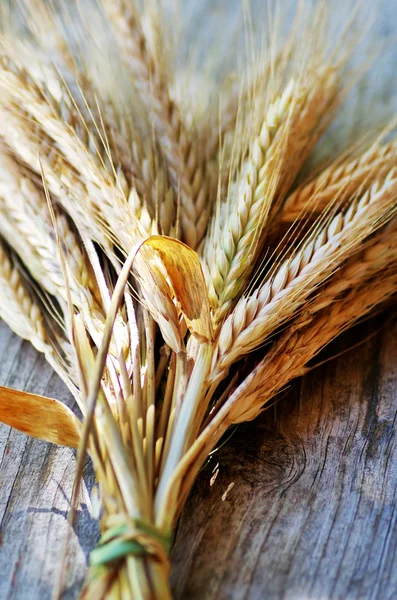 Picchi di grano sullo sfondo di legno — Foto Stock