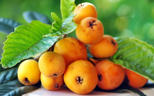 Maturare loquats su ramo — Foto Stock