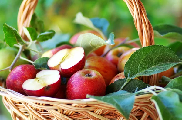 Ripe apples and leaves on basket — Stock Photo, Image