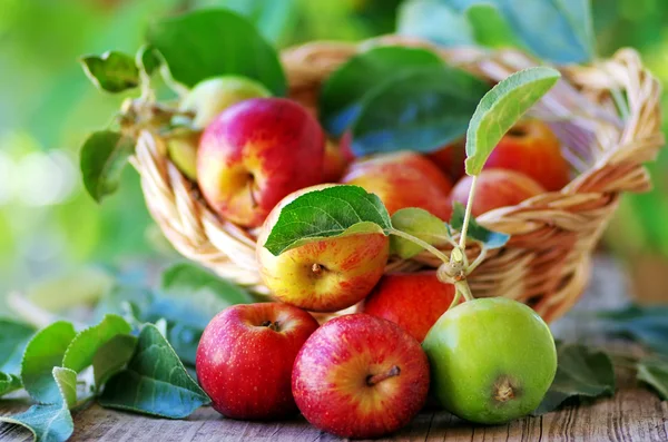 Basket of apples on table — Stock Photo, Image